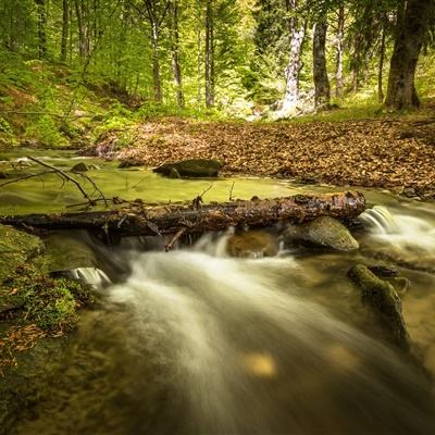 重磅合作频现 AI制药重构药物研发产业格局